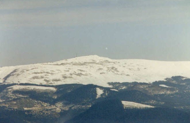 Urtemondotik