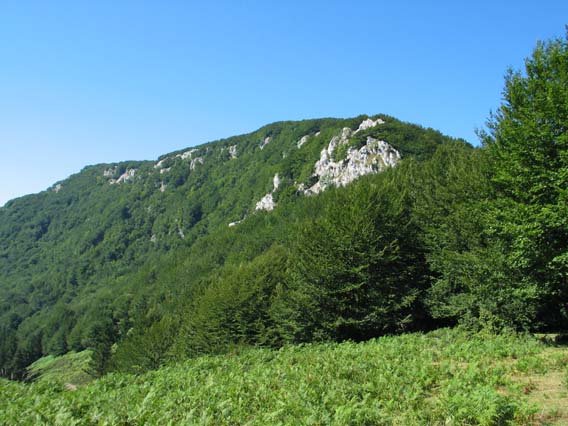 Leziako lepotik