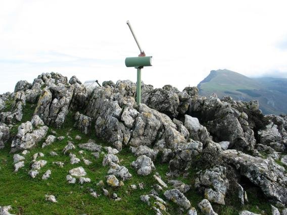 Buzoia eta tontorra