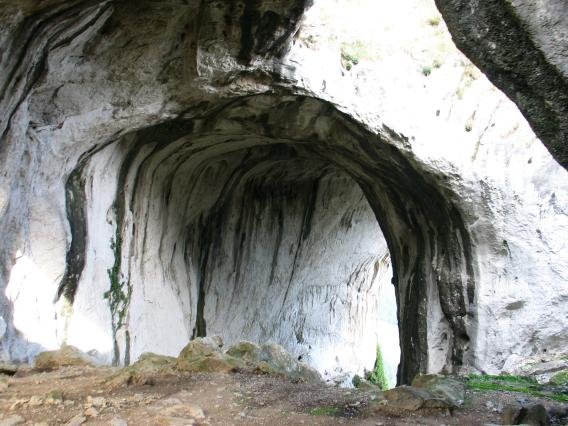 Leizearen erdigunea