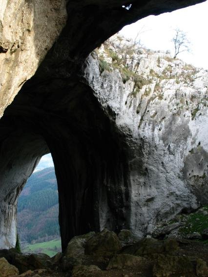 Leizearen erdigunea