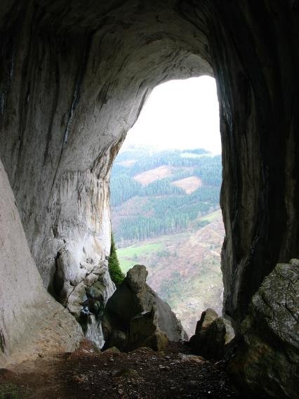Leizearen irteera