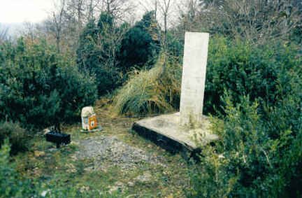 Tontorra