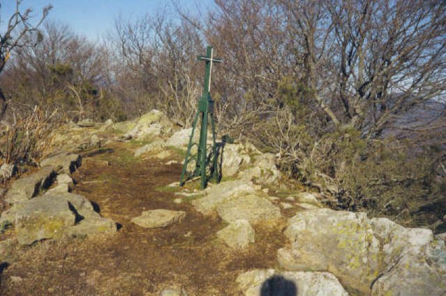 Tontorra