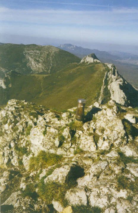 Tontorra