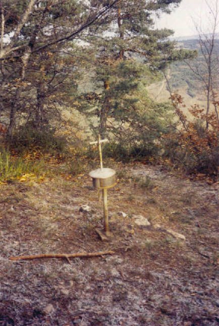 Tontorra