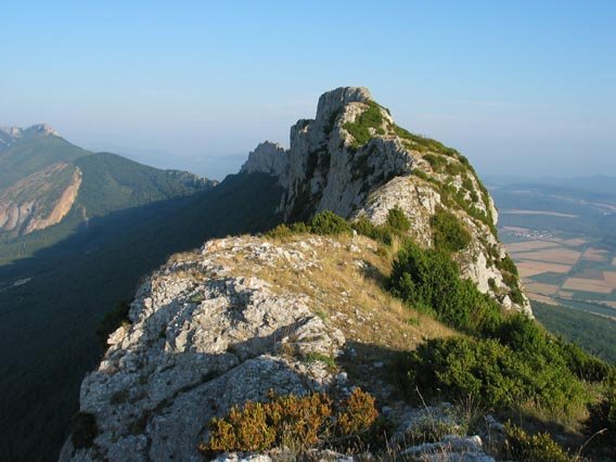 Ekialdeko gandorra