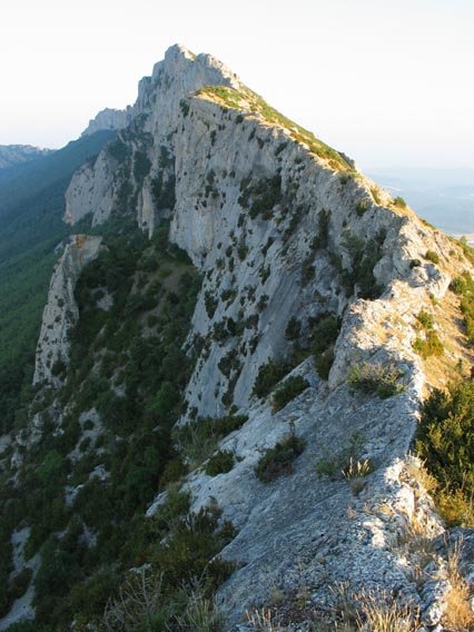 Ekialdeko gandorra