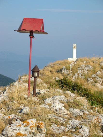 Tontorra