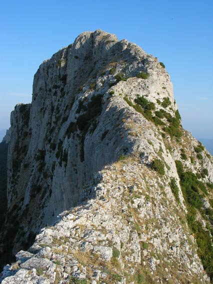 Azken txanpa