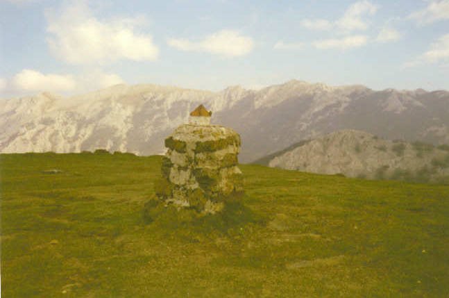 Tontorra