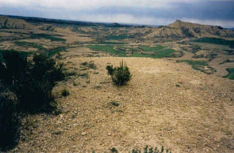Tontorra