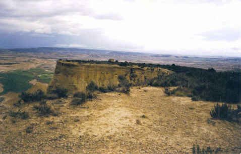 Tontorra