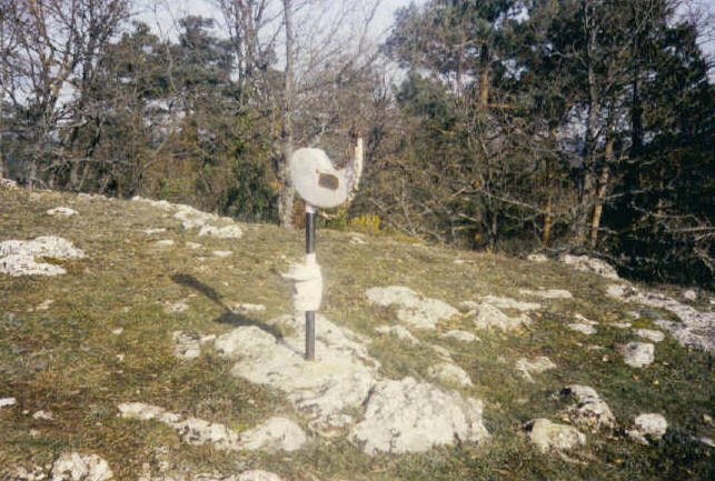 Tontorra