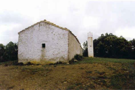 Tontorra
