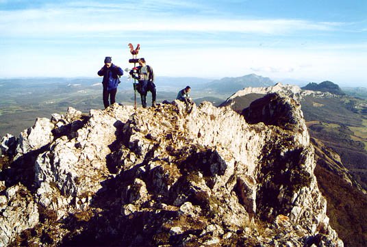 Tontorra