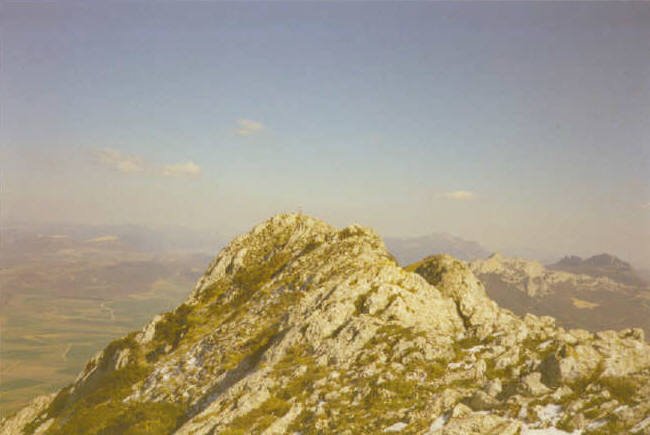 Tontorra
