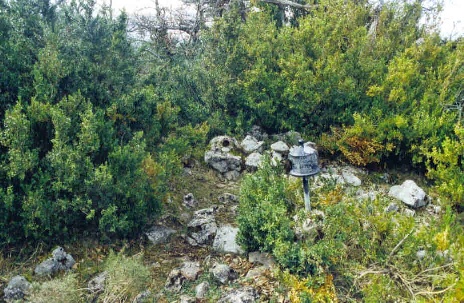 Semendia buzoia