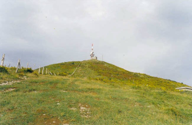 Tontorra
