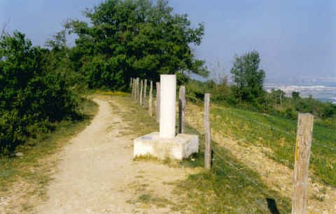 Tontorra