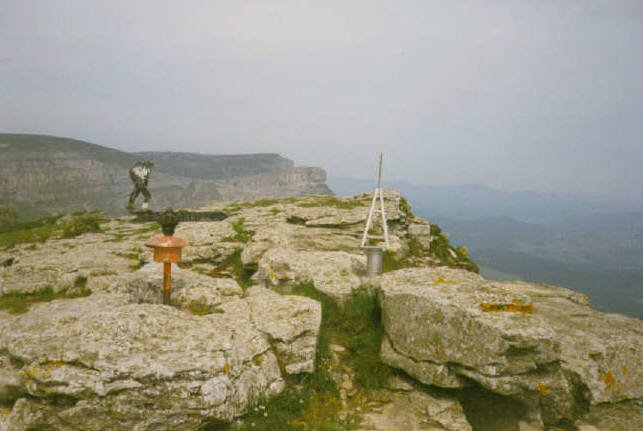 Tontorra