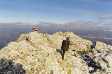 Tontorra