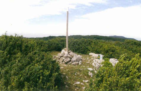 Tontorra