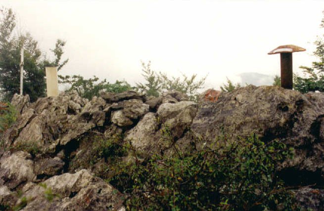 Tontorra
