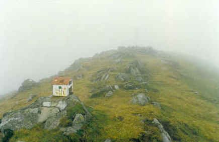 Tontorra