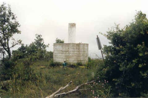 Tontorra