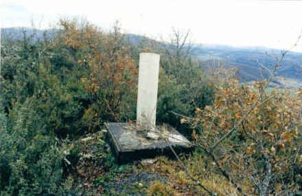 Tontorra