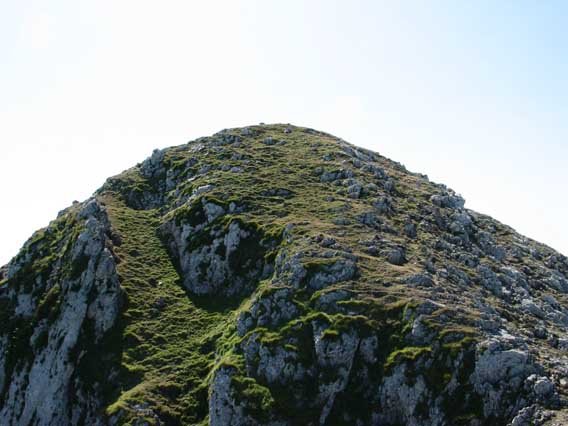 Tontorra Mtik