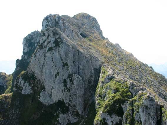 Mko isurialdea
