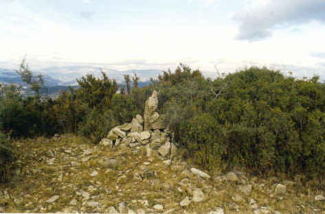 Tontorra