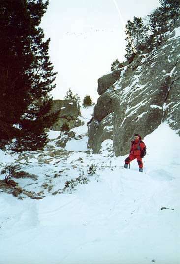 Korridorea elurtuta