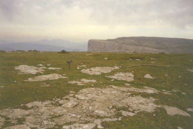 Tontorra