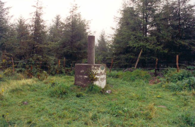 Tontorra