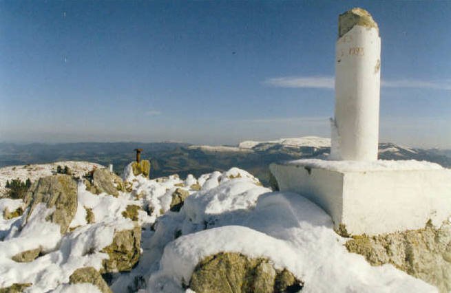 Tontorra