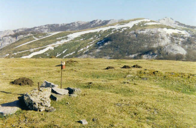 Tontorra