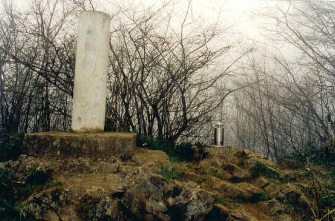 Tontorra