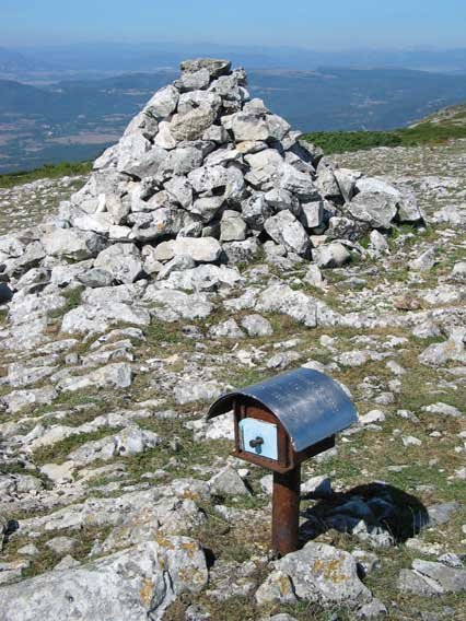 Buzoia