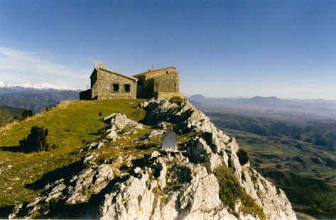 Buzoia