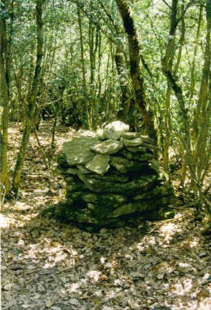 Tontorra