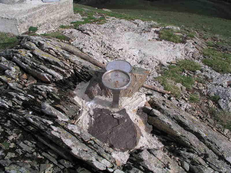 Buzoia