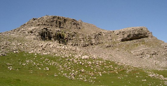 Aldamin