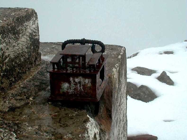 buzoia