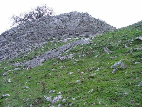 TONTORRA