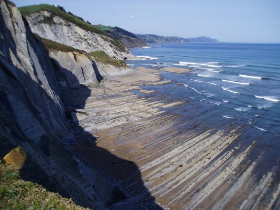 Sakoneta