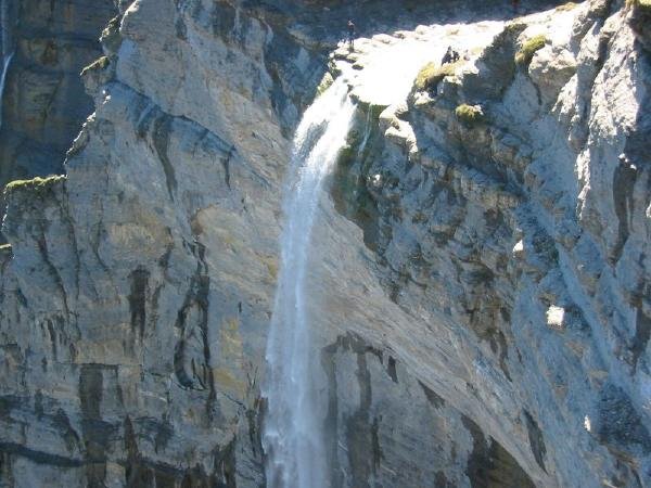 salto_nervi?n
