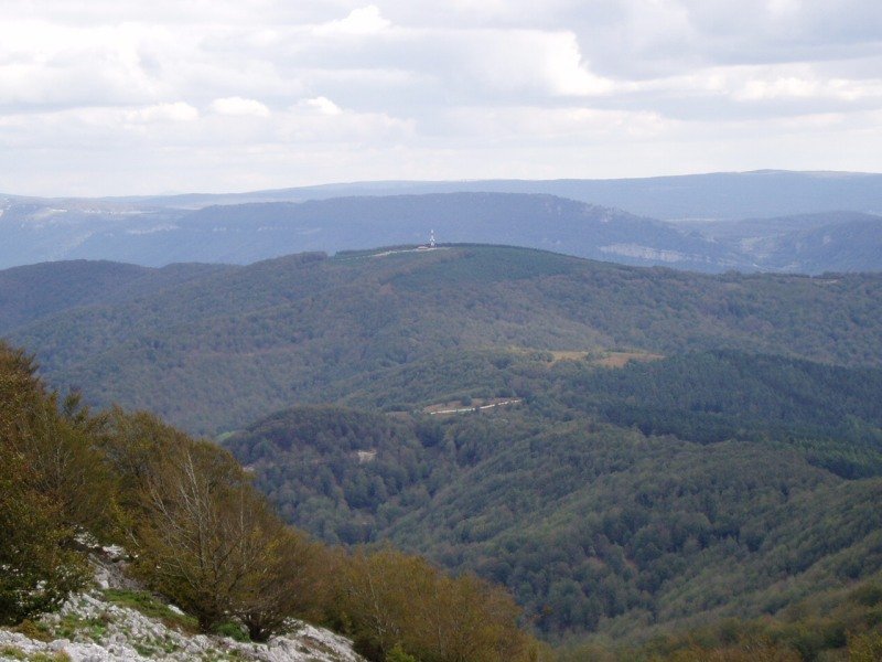 Allartetik ikusita